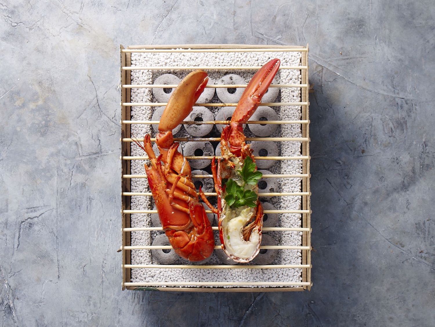 The CasusGrill