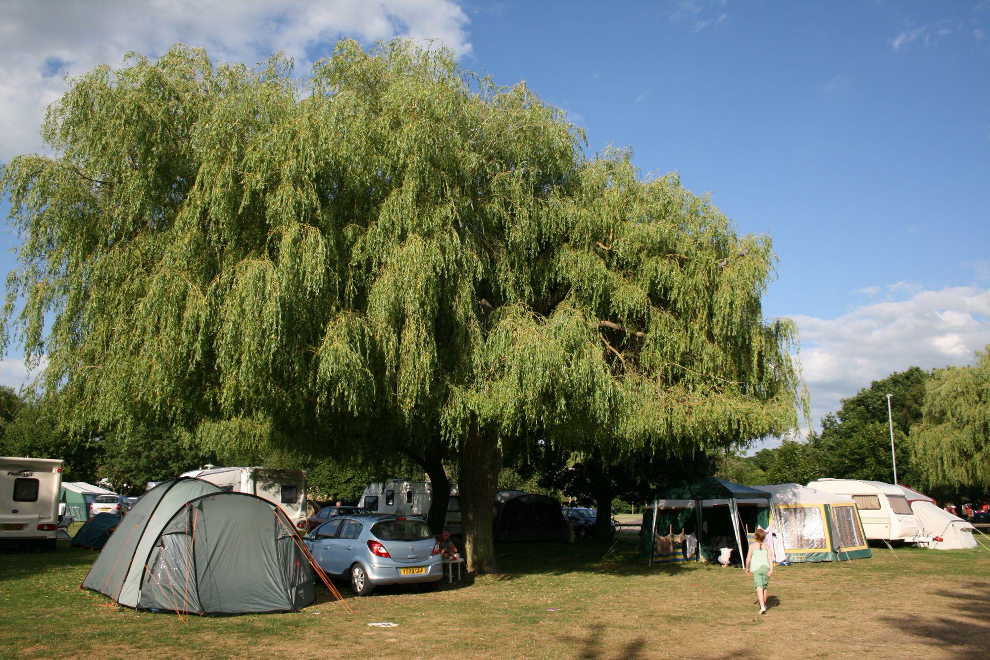 Jubilee Park, Lincolnshire