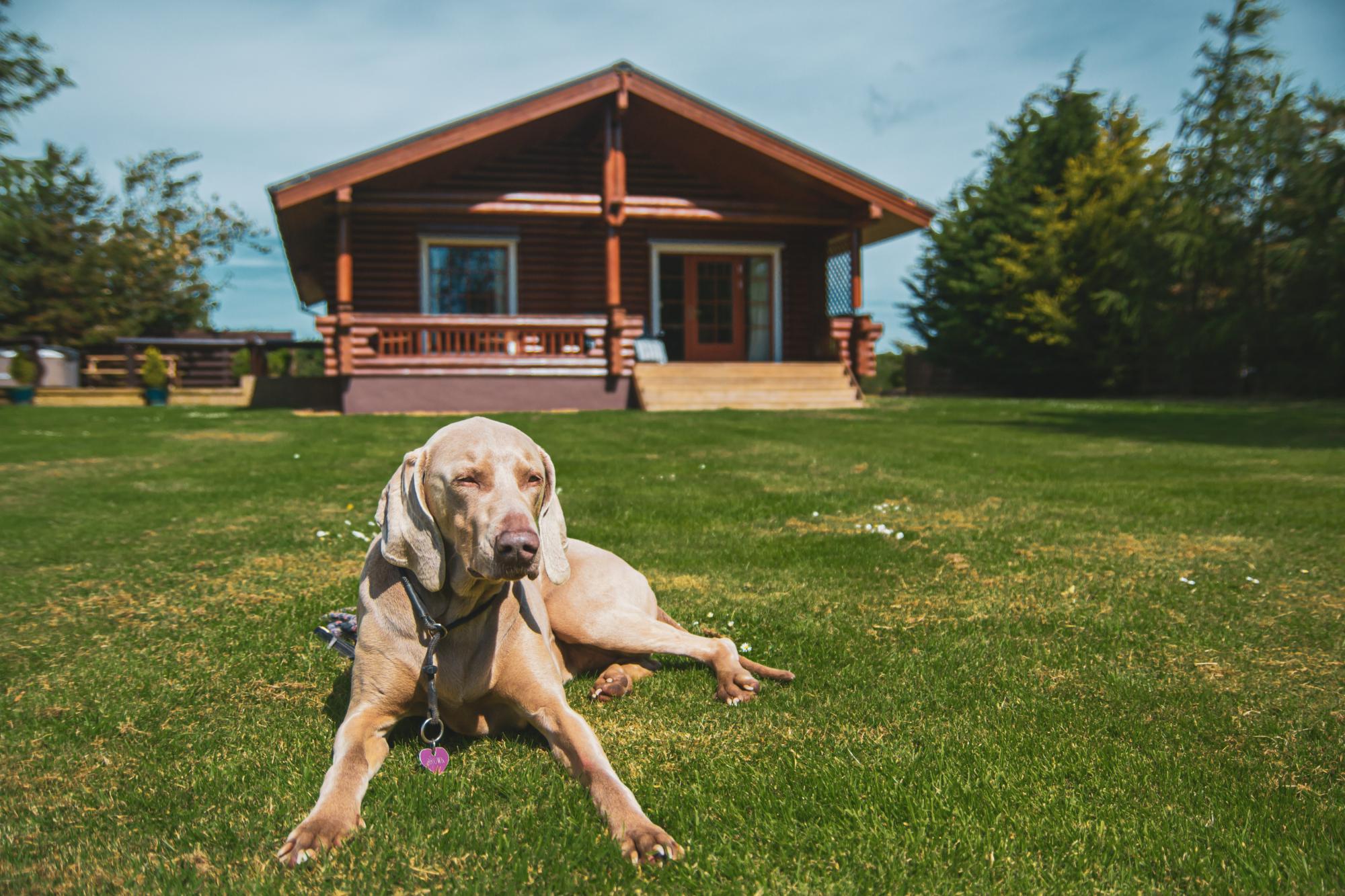 LazyDay Cottages