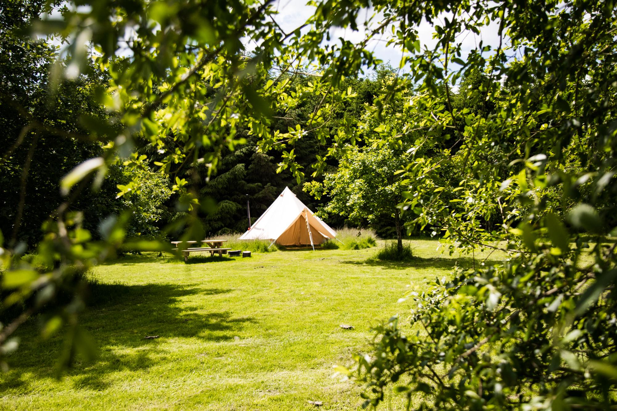 Ambers Bell Tent Camping